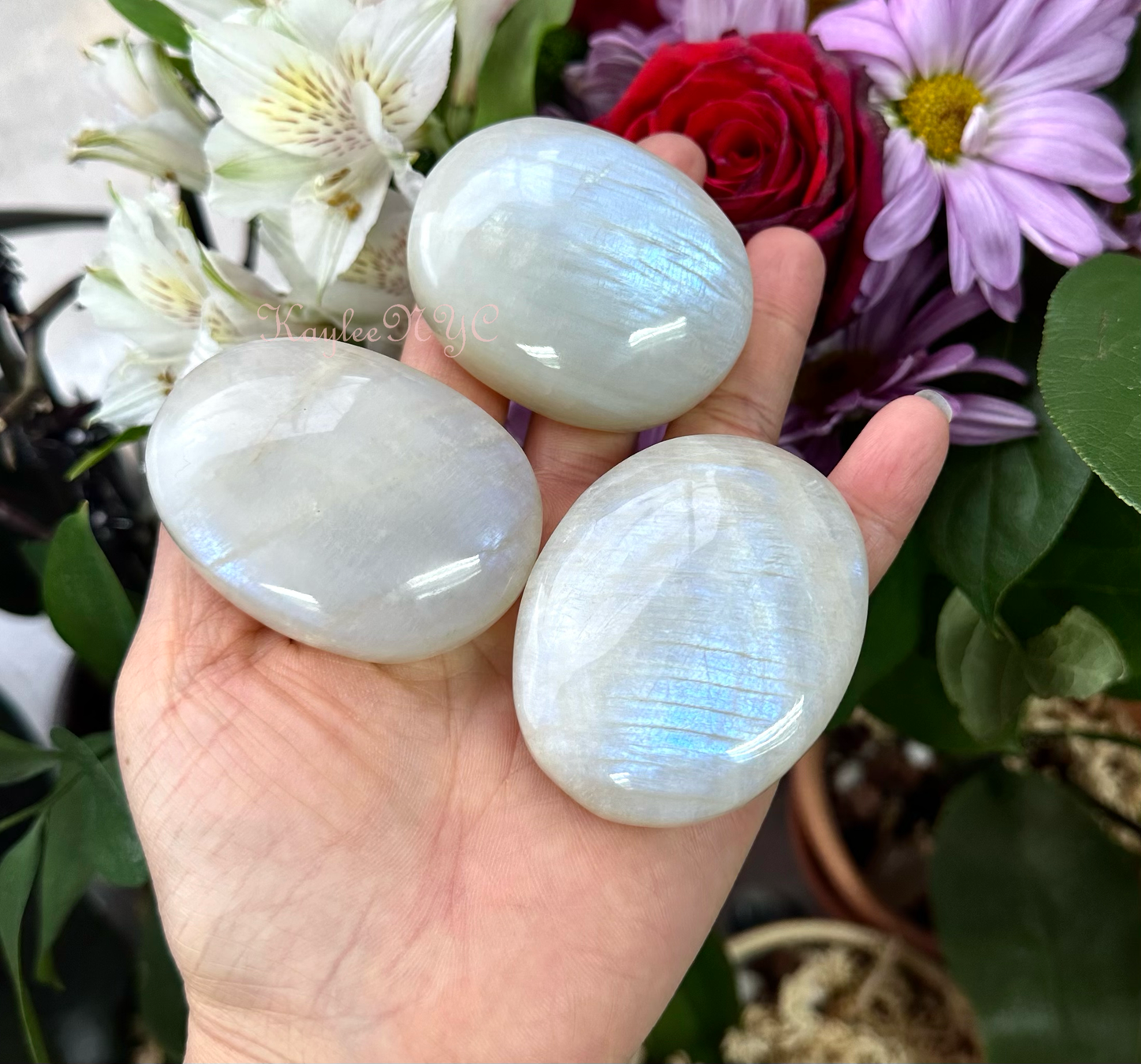 Natural Rainbow Moonstone Palm Stone Nice Quality!