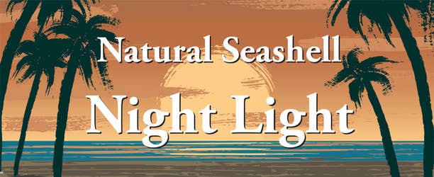 Irish Scallop Seashell Night Light