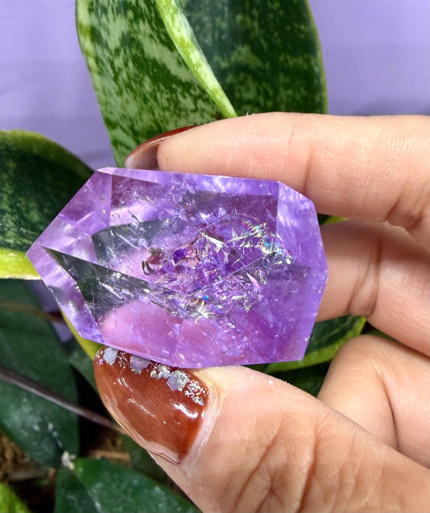 Natural Ametrine Freeforms