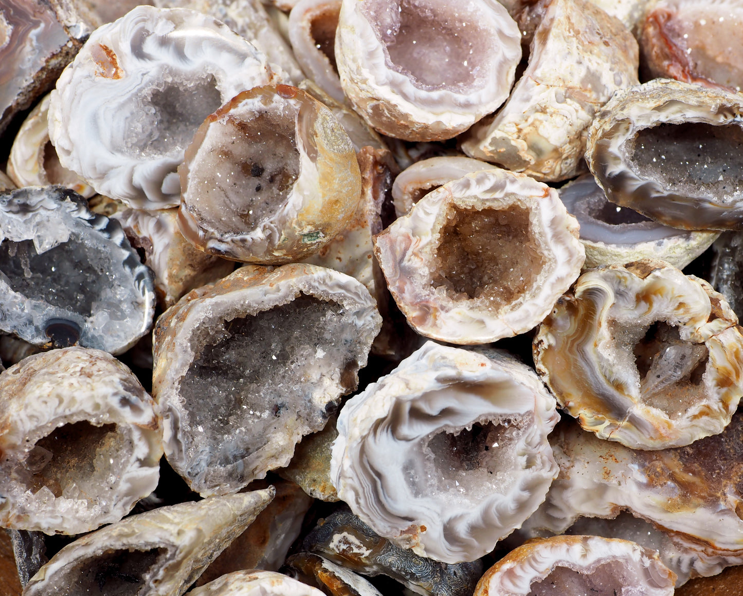 Oco Geode