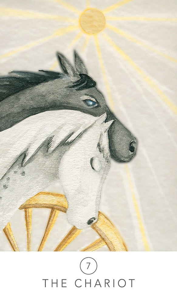 White Sage Tarot with Tin