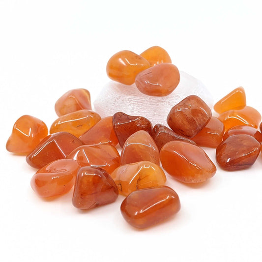 Carnelian Tumble Polished 1pc.