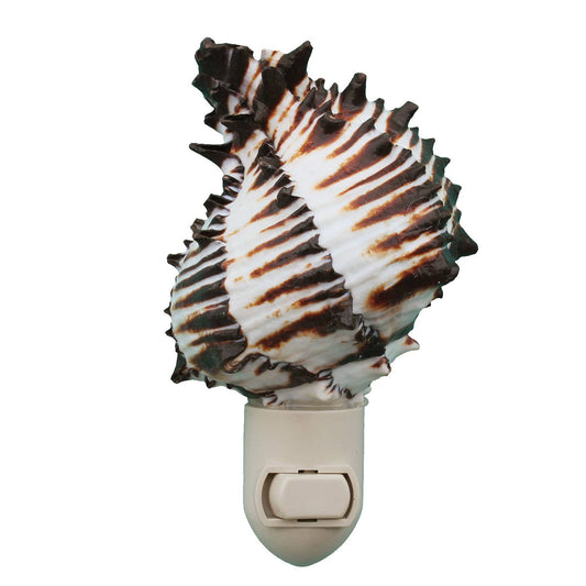 Black Murex Seashell Night Light