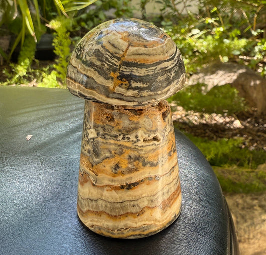 Bumblebee Calcite Mushrooms