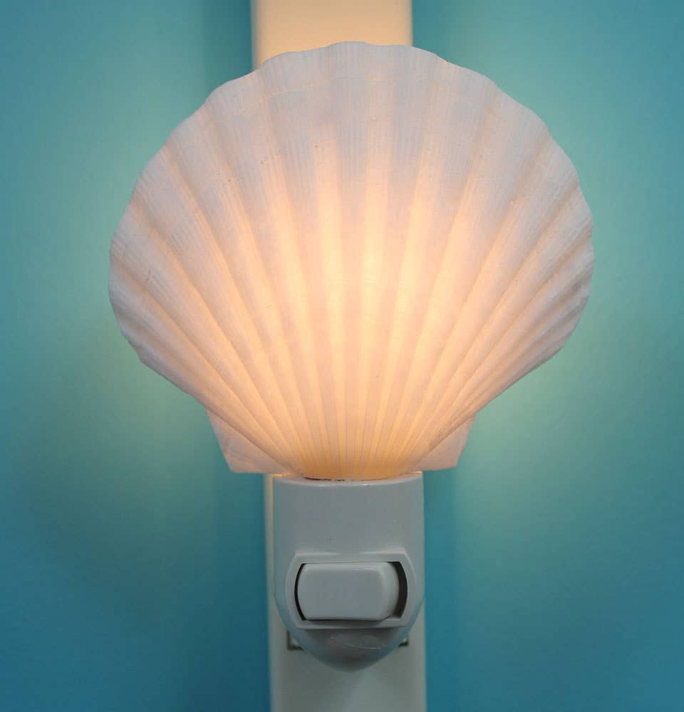 Irish Scallop Seashell Night Light