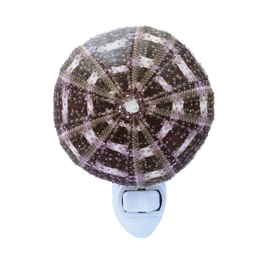 Alfonso Sea Urchin Night Light