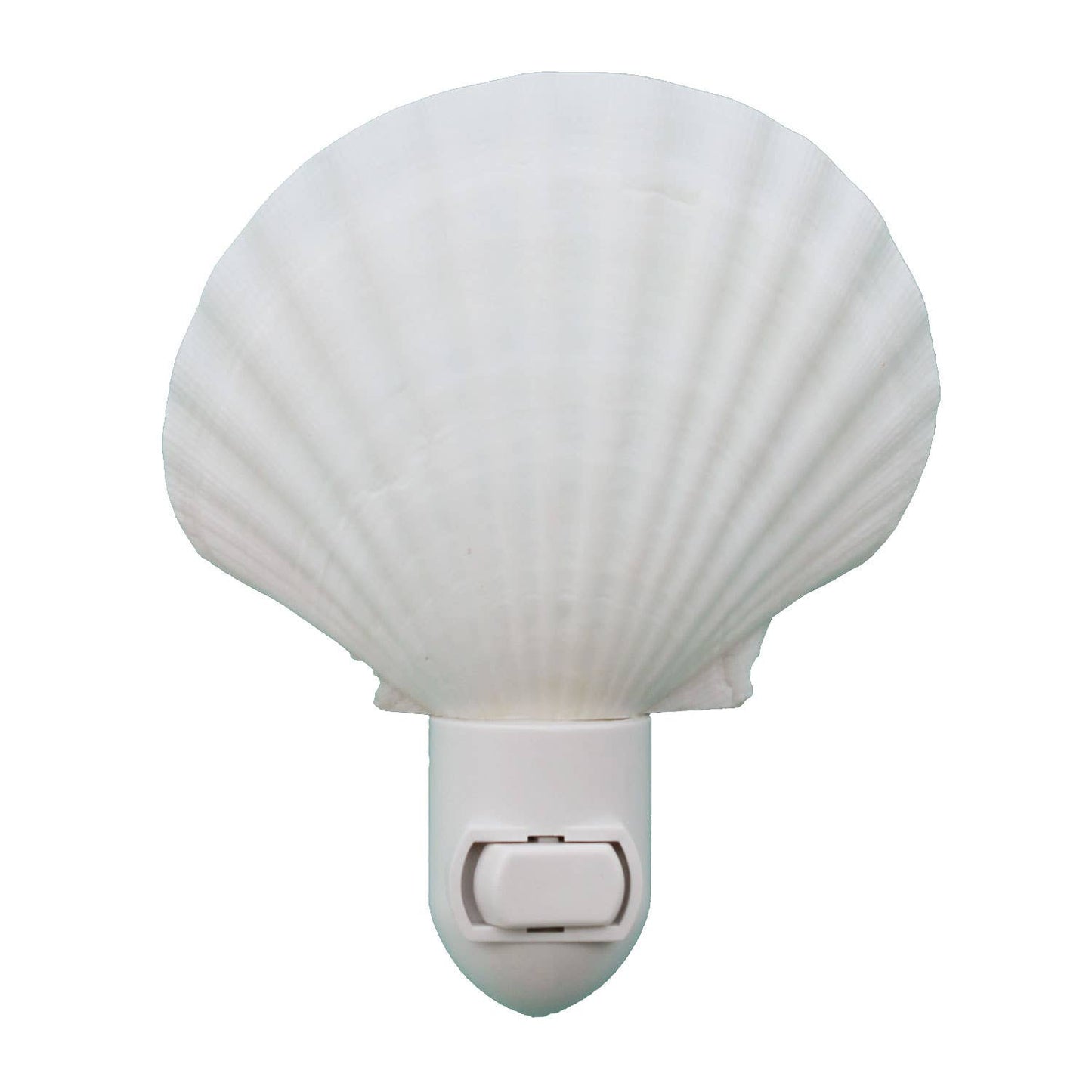 Irish Scallop Seashell Night Light