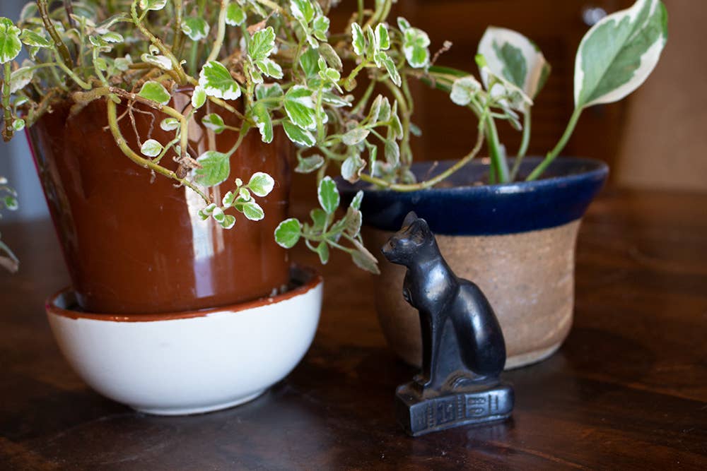 Bastet Black Mini - 3”