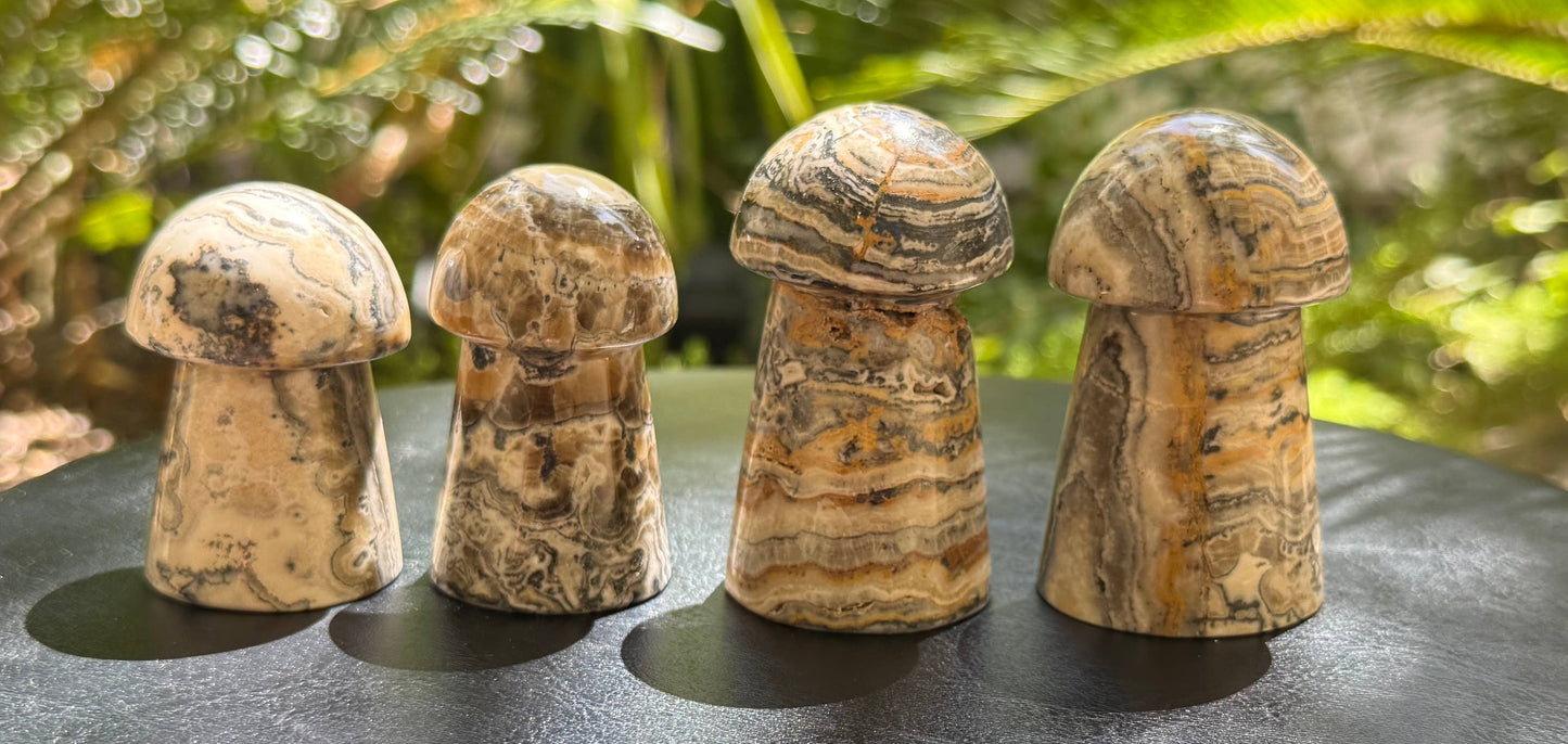 Bumblebee Calcite Mushrooms