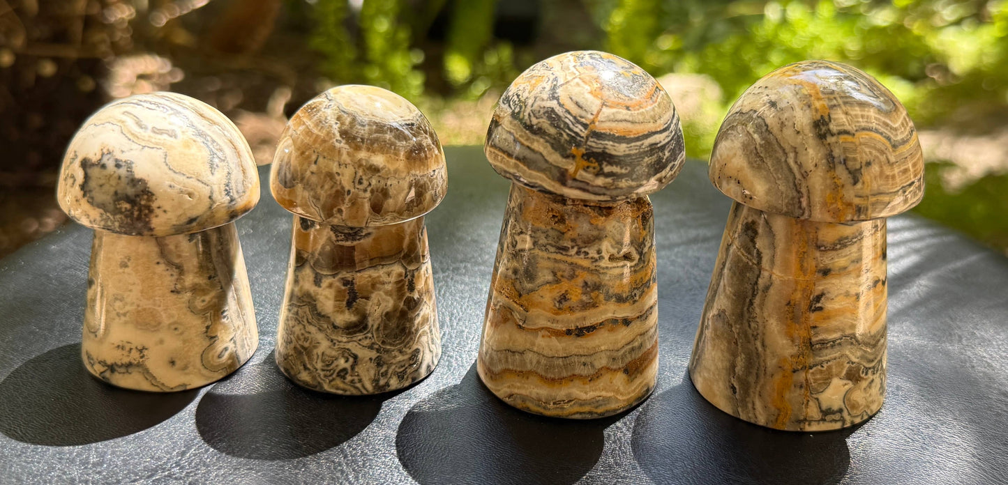Bumblebee Calcite Mushrooms