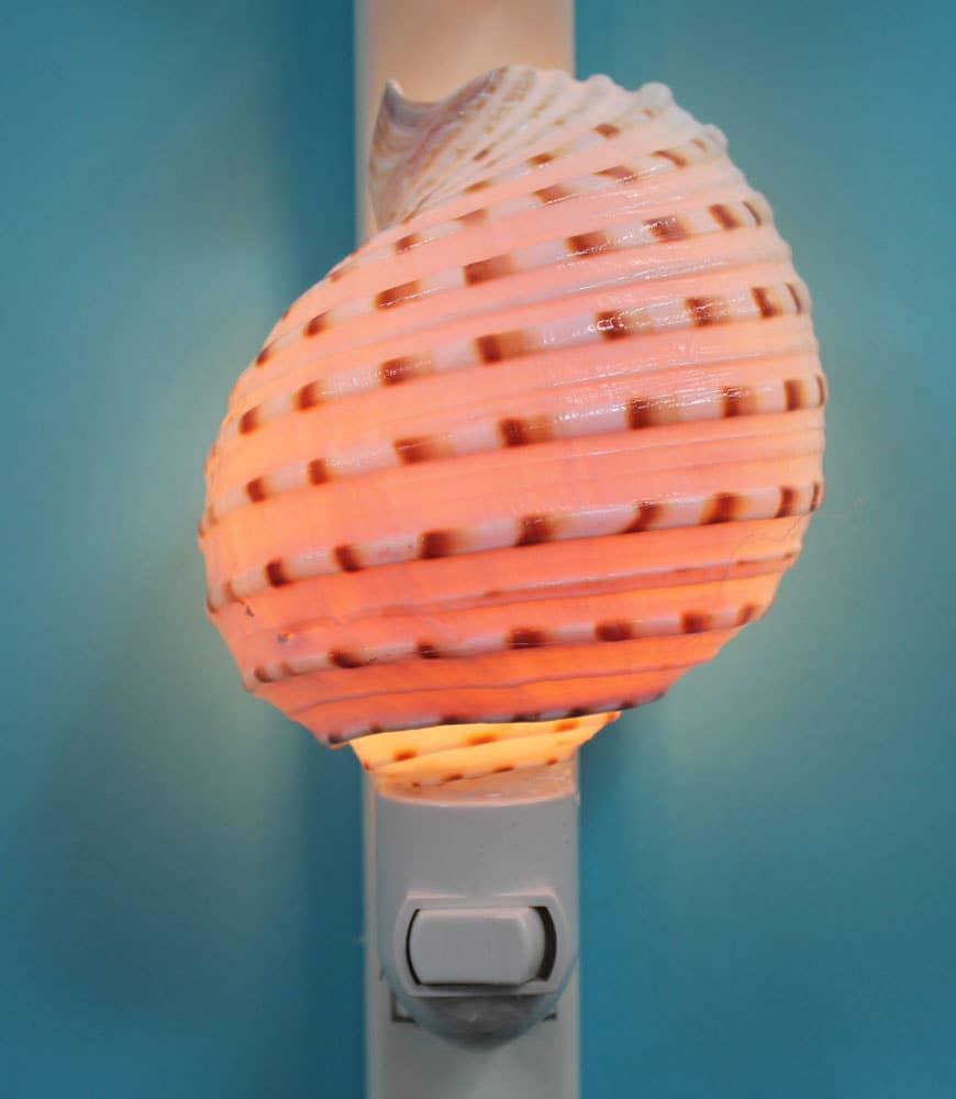 Spotted Tonna Seashell Night Light