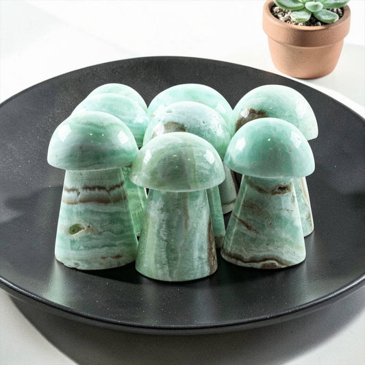 Caribbean Blue Calcite (Seafoam Calcite) Mushrooms