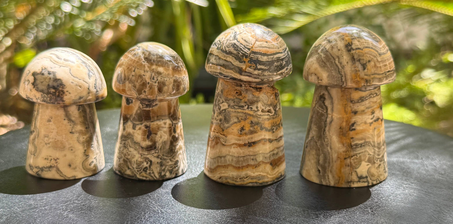 Bumblebee Calcite Mushrooms