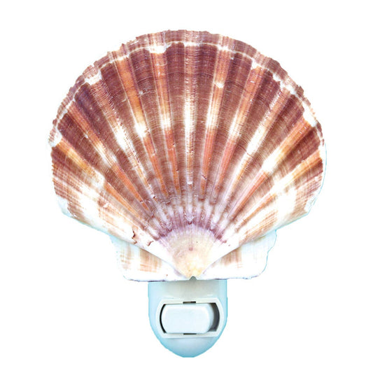 Irish Flat Seashell Night Light