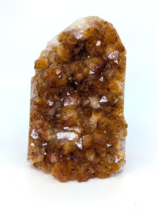 Citrine Cut Base Standing