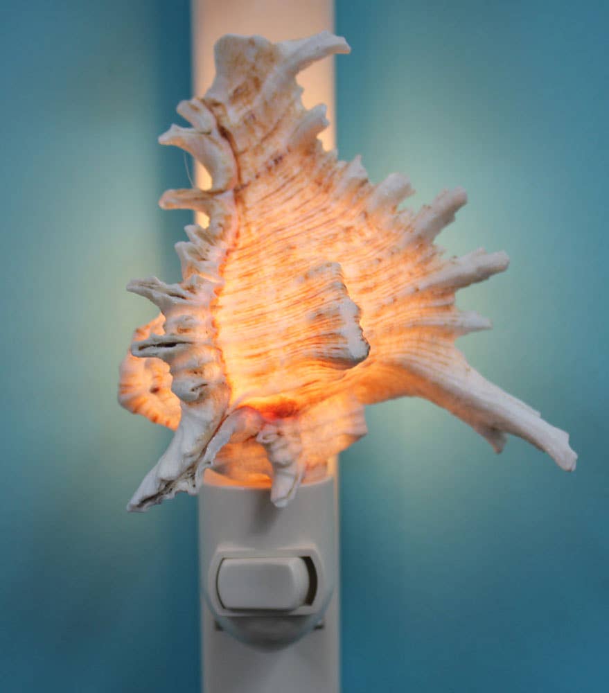 Ramosa Murex Seashell Night Light