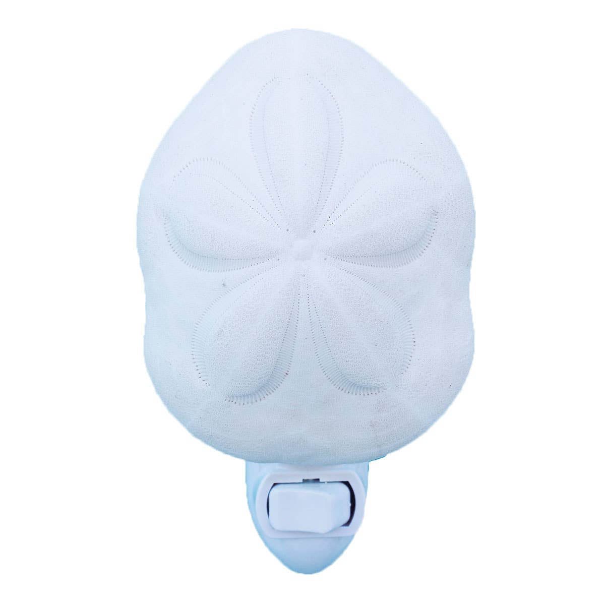 Sea Biscuit Night Light