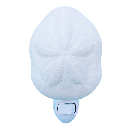 Sea Biscuit Night Light
