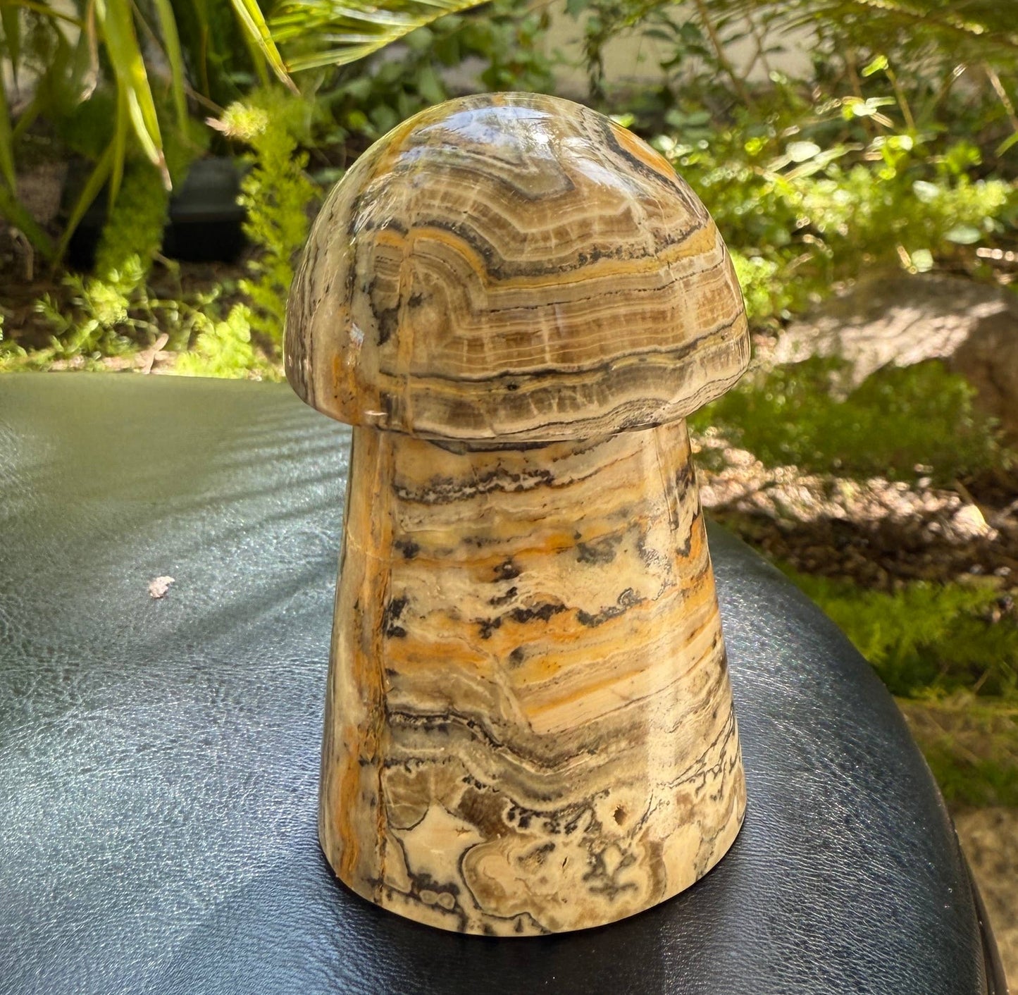 Bumblebee Calcite Mushrooms