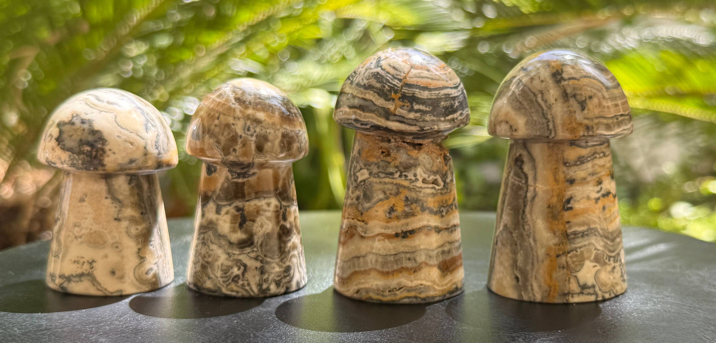 Bumblebee Calcite Mushrooms