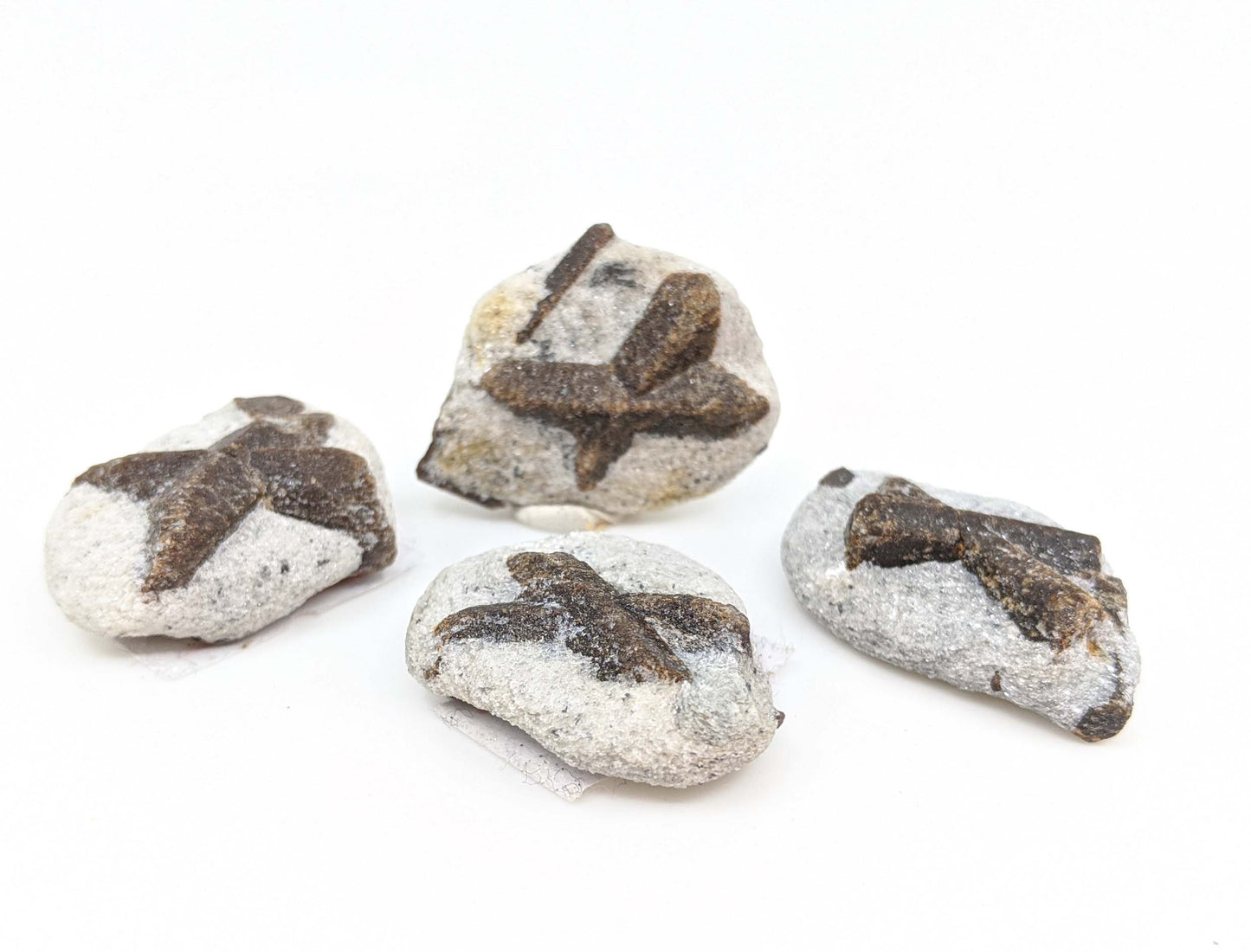 Staurolite Crystals